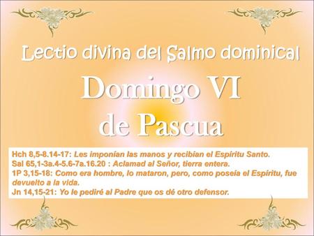 Lectio divina del Salmo dominical