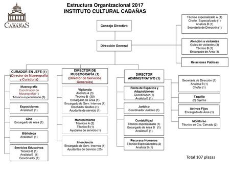 Estructura Organizacional 2017 INSTITUTO CULTURAL CABAÑAS