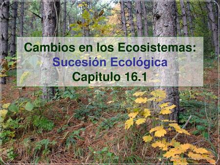 Cambios en los Ecosistemas: Sucesión Ecológica Capitulo 16.1