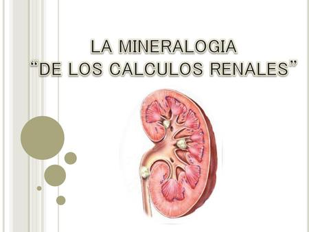 LA MINERALOGIA “DE LOS CALCULOS RENALES”