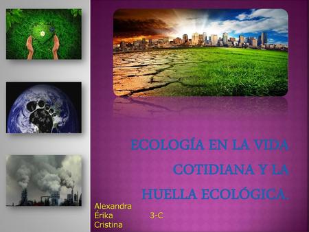 Ecología en la vida cotidiana y la huella ecológica.
