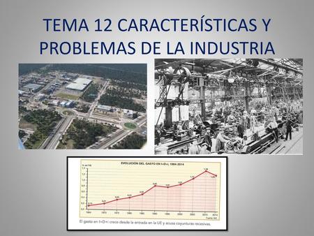 TEMA 12 CARACTERÍSTICAS Y PROBLEMAS DE LA INDUSTRIA