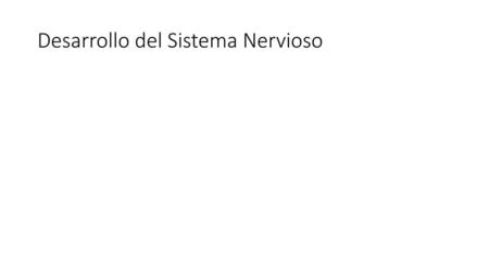 Desarrollo del Sistema Nervioso