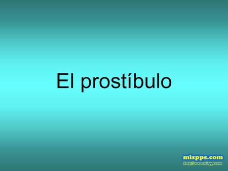 El prostíbulo.