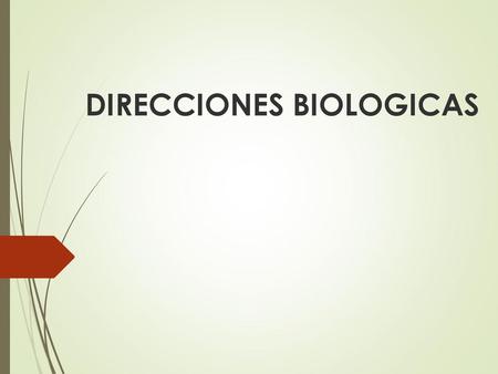 DIRECCIONES BIOLOGICAS