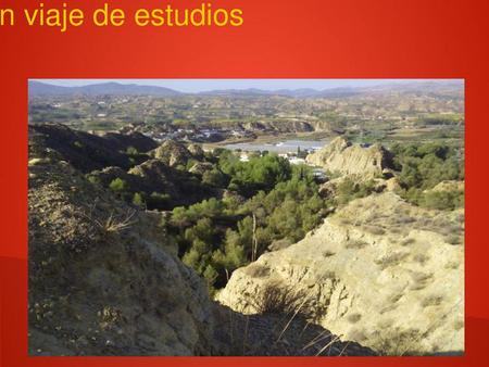 Organizando un viaje de estudios
