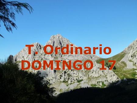 T. Ordinario DOMINGO 17.