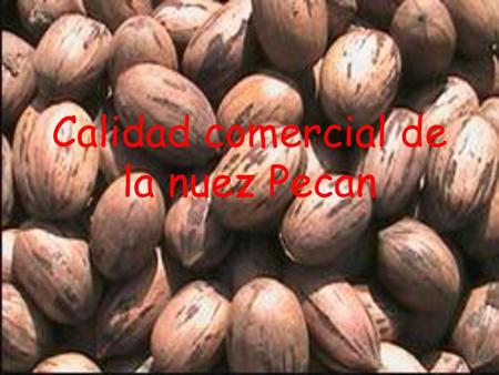 Calidad comercial de la nuez Pecan
