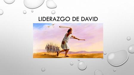 LIDERAZGO DE DAVID.