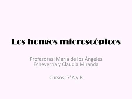 Los hongos microscópicos