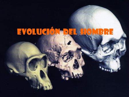 EVOLUCIÓN DEL HOMBRE.