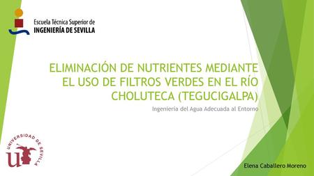 Ingeniería del Agua Adecuada al Entorno