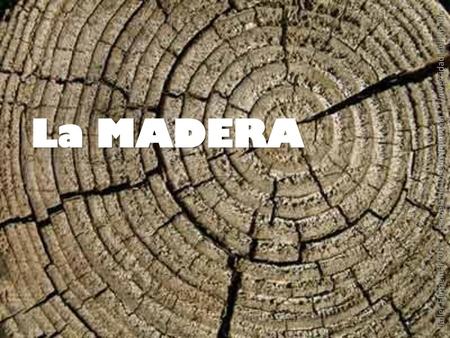 La MADERA Taller Elemental 2011 Escuela de Diseño Industrial Universidad del Bío Bío.