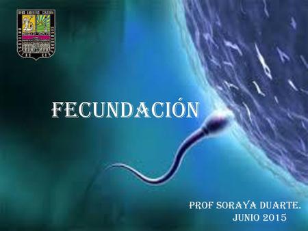 FECUNDACIÓN PROF SORAYA DUARTE. junio 2015.