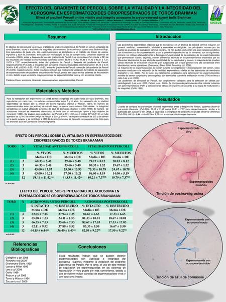 * adirmo@gmail.com; hernandezad@unesur.edu.ve EFECTO DEL GRADIENTE DE PERCOLL SOBRE LA VITALIDAD Y LA INTEGRIDAD DEL ACROSOMA EN ESPERMATOZOIDES CRIOPRESERVADOS.