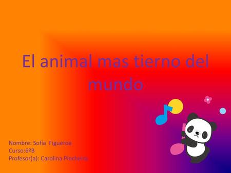 El animal mas tierno del mundo