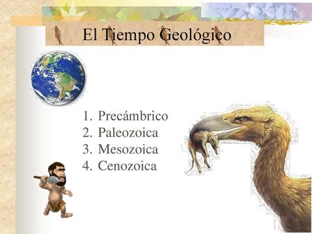El Tiempo Geológico Precámbrico Paleozoica Mesozoica Cenozoica.
