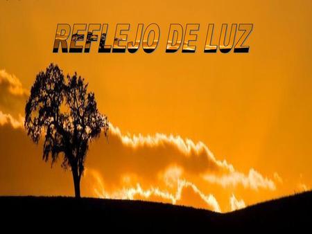 REFLEJO DE LUZ.