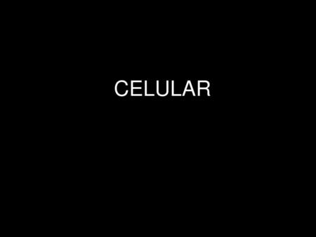 CELULAR.