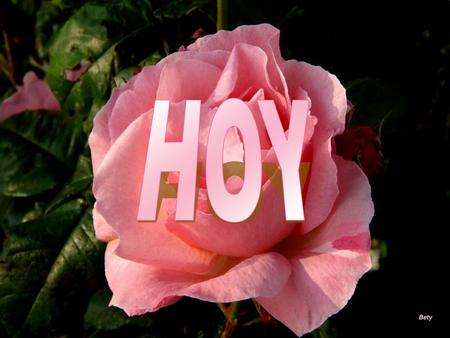 HOY Bety.