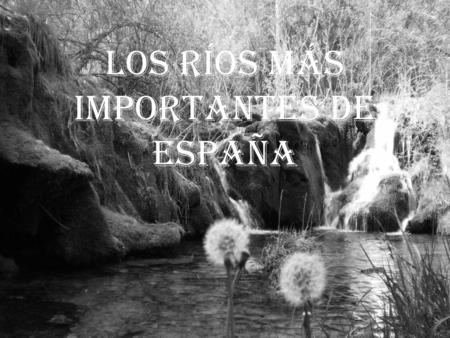 LOS RÍOS MÁS IMPORTANTES DE ESPAÑA