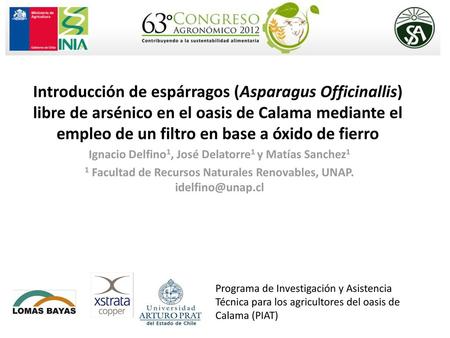 Introducción de espárragos (Asparagus Officinallis) libre de arsénico en el oasis de Calama mediante el empleo de un filtro en base a óxido de fierro Ignacio.