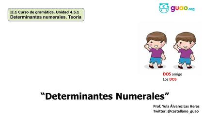 “Determinantes Numerales”