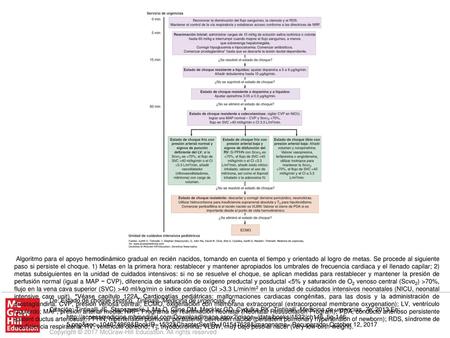 Algoritmo para el apoyo hemodinámico gradual en recién nacidos, tomando en cuenta el tiempo y orientado al logro de metas. Se procede al siguiente paso.