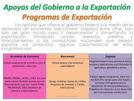 Apoyos del Gobierno a la Exportación Programas de Exportación
