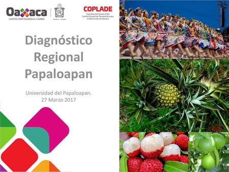 Diagnóstico Regional Papaloapan
