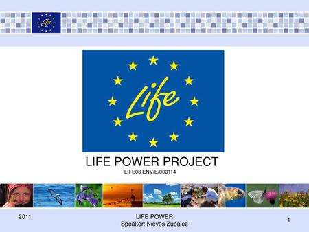 LIFE POWER PROJECT LIFE08 ENV/E/000114