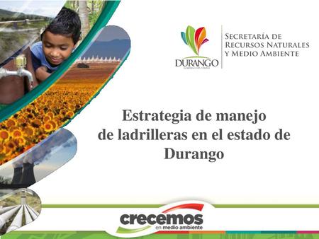 de ladrilleras en el estado de Durango