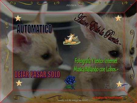 Fotografia Y texto: Internet Musica:Bailando con Lobos.-