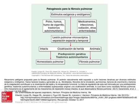 Mecanismo patógeno propuesto para la fibrosis pulmonar