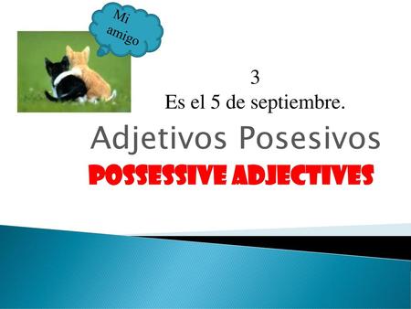Possessive Adjectives