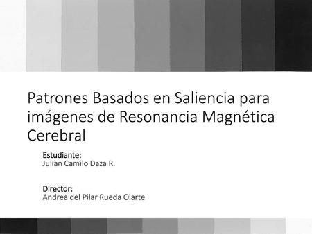 Estudiante:  Julian Camilo Daza R.