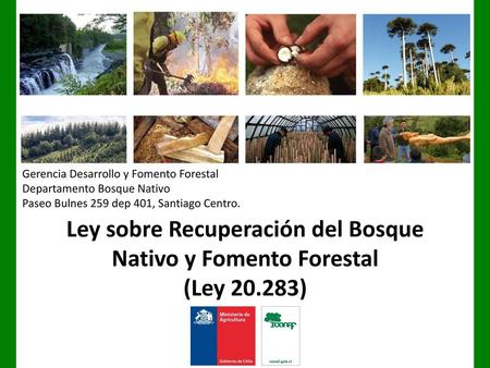 Ley sobre Recuperación del Bosque Nativo y Fomento Forestal