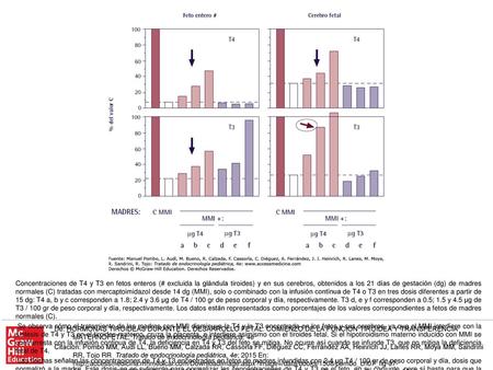 Las flechas señalan las concentraciones de T4 y T3 encontradas en fetos de madres infundidas con 2.4 µg T4 / 100 gr de peso corporal y día, dosis que normalizó.