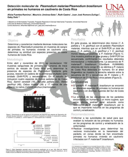 Resultados Objetivo Metodología Conclusiones Recomendaciones