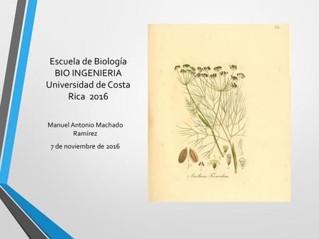Escuela de Biología BIO INGENIERIA Universidad de Costa Rica 2016