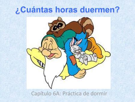 ¿Cuántas horas duermen?