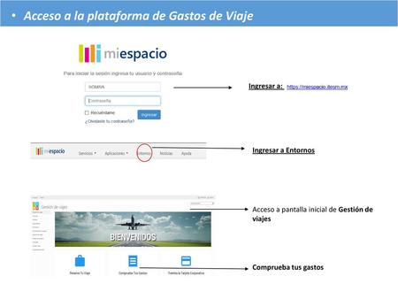 Acceso a la plataforma de Gastos de Viaje