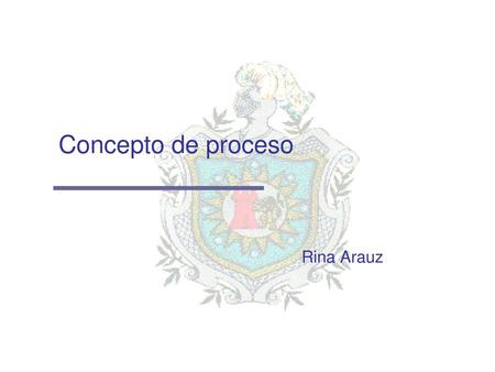 Concepto de proceso Rina Arauz.