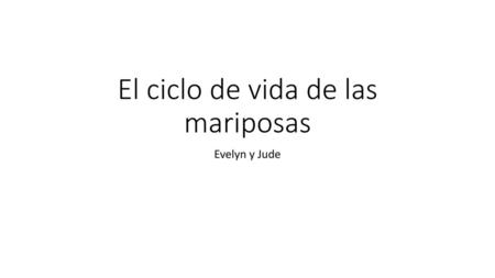 El ciclo de vida de las mariposas