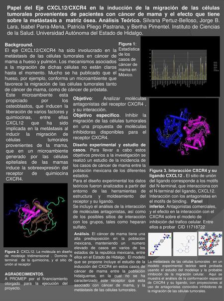 Papel del Eje CXCL12/CXCR4 en la inducción de la migración de las células tumorales provenientes de pacientes con cáncer de mama y el efecto que tiene.