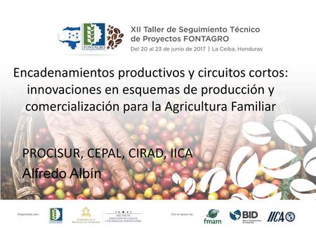 Encadenamientos productivos y circuitos cortos: innovaciones en esquemas de producción y comercialización para la Agricultura Familiar PROCISUR, CEPAL,