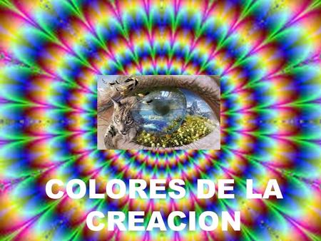 COLORES DE LA CREACION. AZUL VERDE NARANJA.