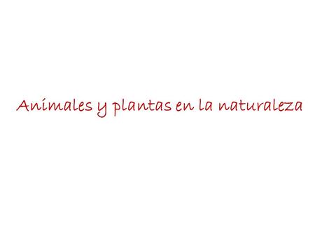 Animales y plantas en la naturaleza.