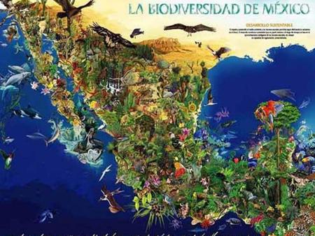 BIODIVERSIDAD EN MÉXICO: CONSERVACIÓN Y RETOS A FUTURO