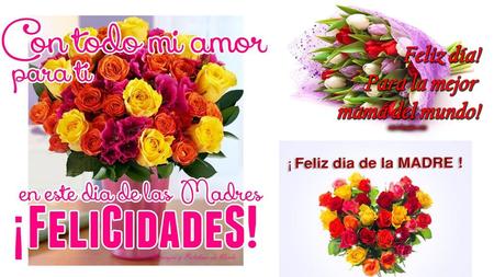 Querida Mamá, Para la mejor mamá del mundo con todo mi amor